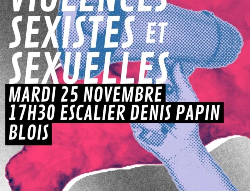 25 novembre : journée internationale de lutte contre les violences faites aux femmes